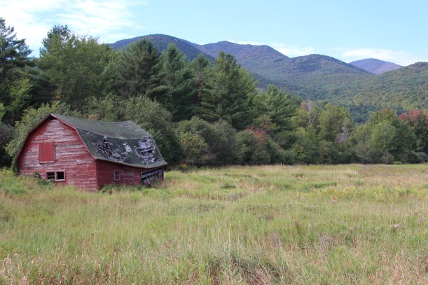 Imported Photos 03029 edited