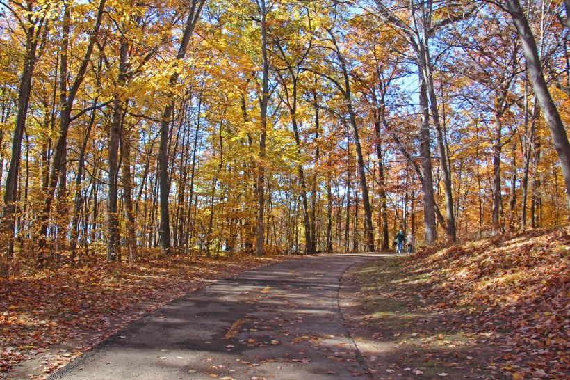 Sunday afternoon stroll.