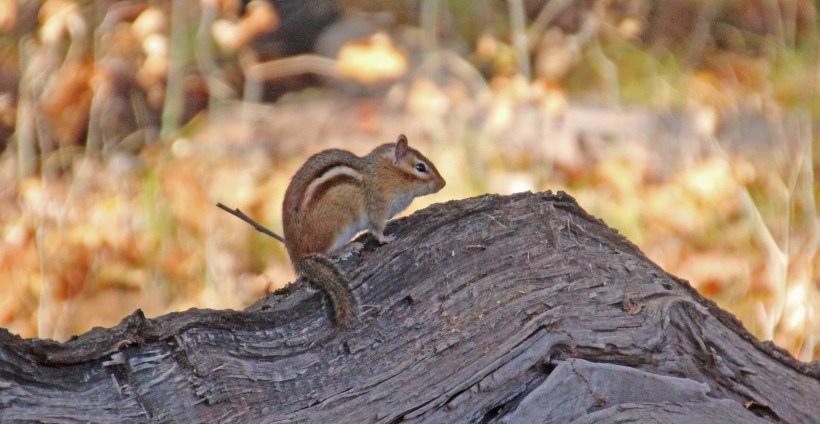 If I stay still you can't see me.  Right?