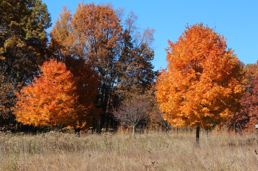 A surprise punch of color.