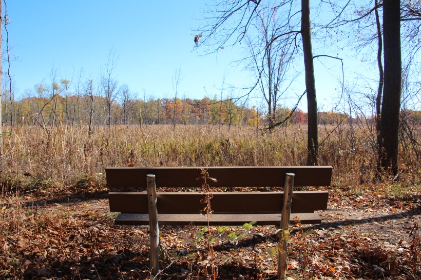 A good spot for contemplation.