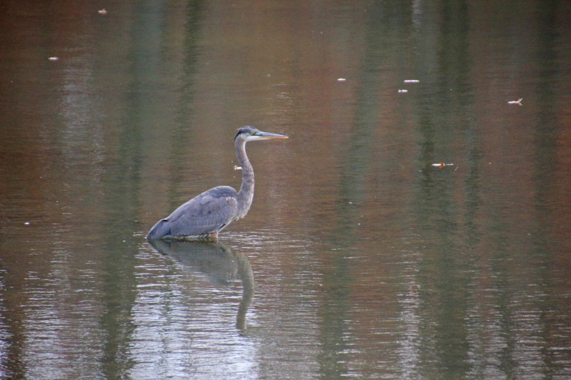 Imported Photos 02560 edited 2