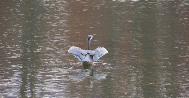 Imported Photos 02573 edited