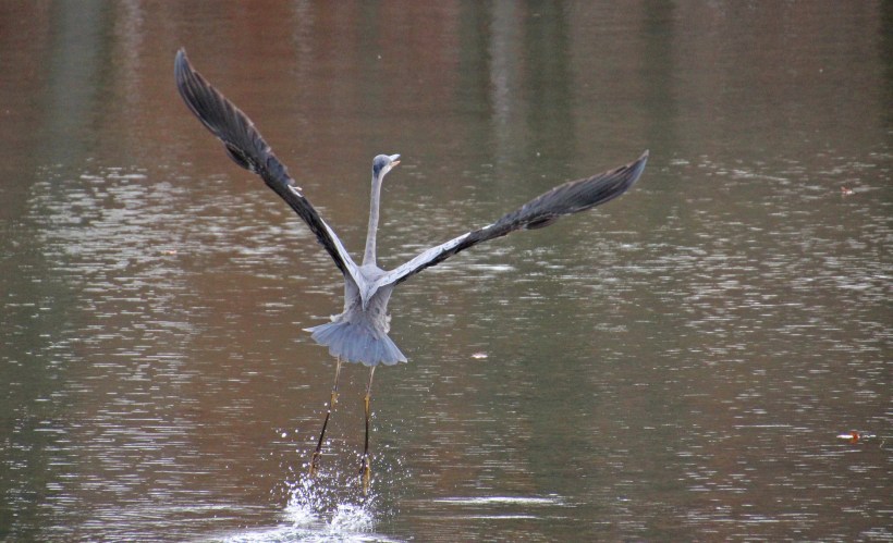 Imported Photos 02574 edited