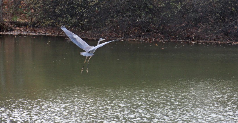 Imported Photos 02583 edited