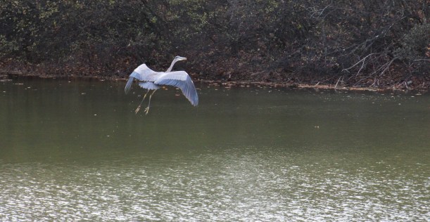 Imported Photos 02584 edited