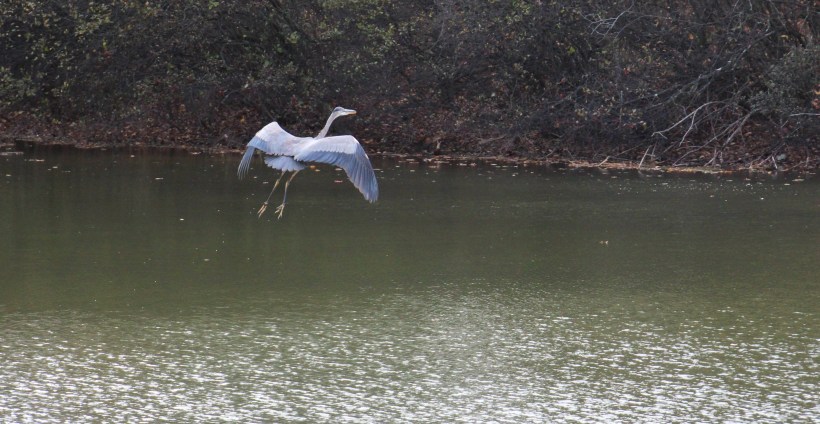 Imported Photos 02584 edited