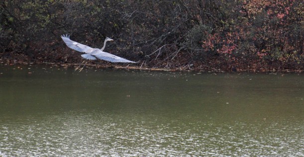 Imported Photos 02585 edited