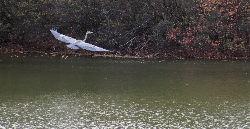 Imported Photos 02585 edited