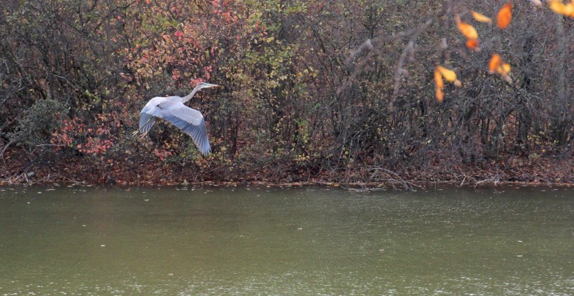 Imported Photos 02587 edited