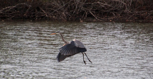 Imported Photos 02620 edited