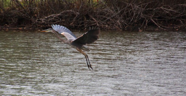 Imported Photos 02622 edited