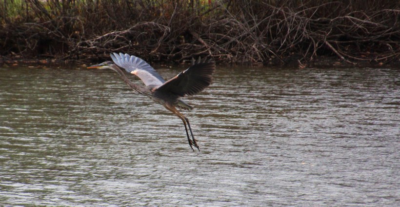 Imported Photos 02622 edited