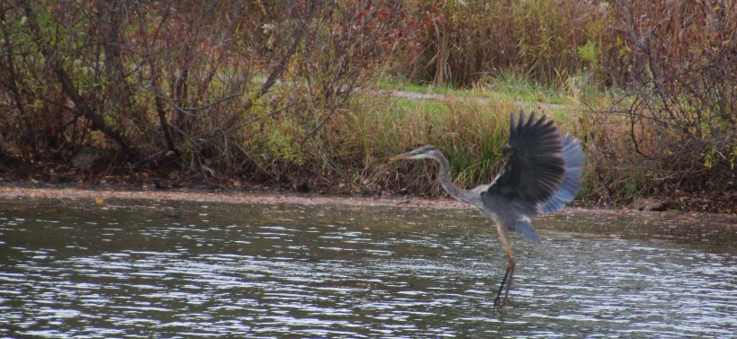 Imported Photos 02631 edited