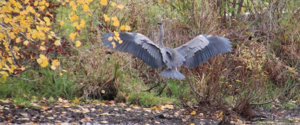 Imported Photos 02639 edited