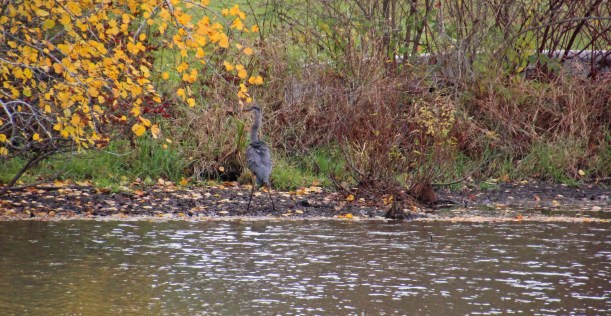 Imported Photos 02642 edited