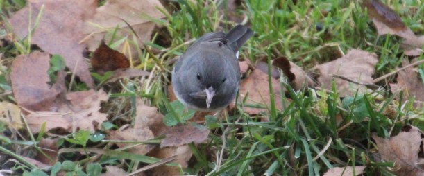 Right here under your nose!