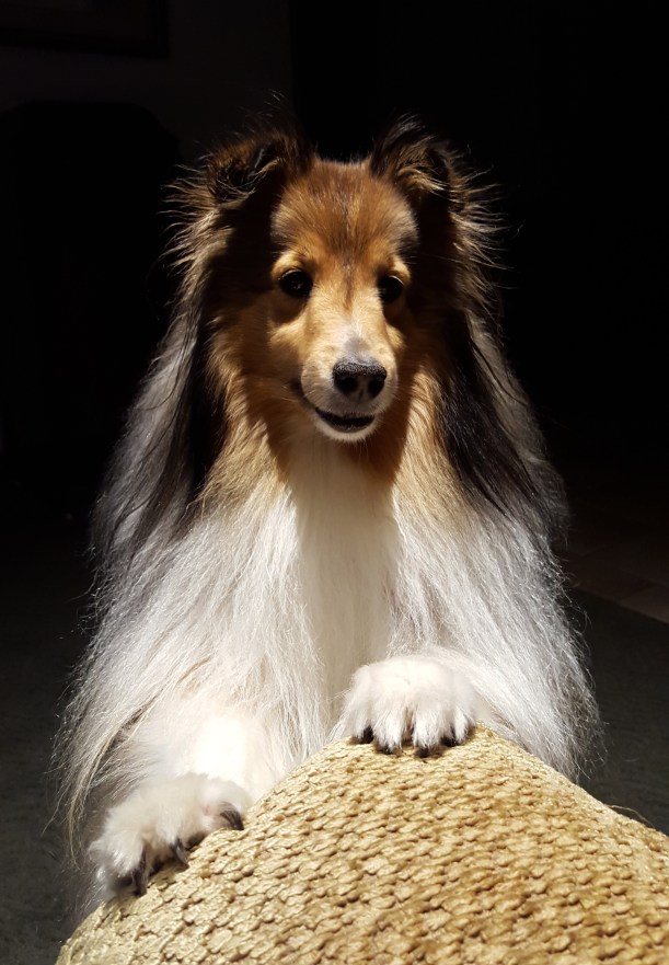 20151119_222009 edited