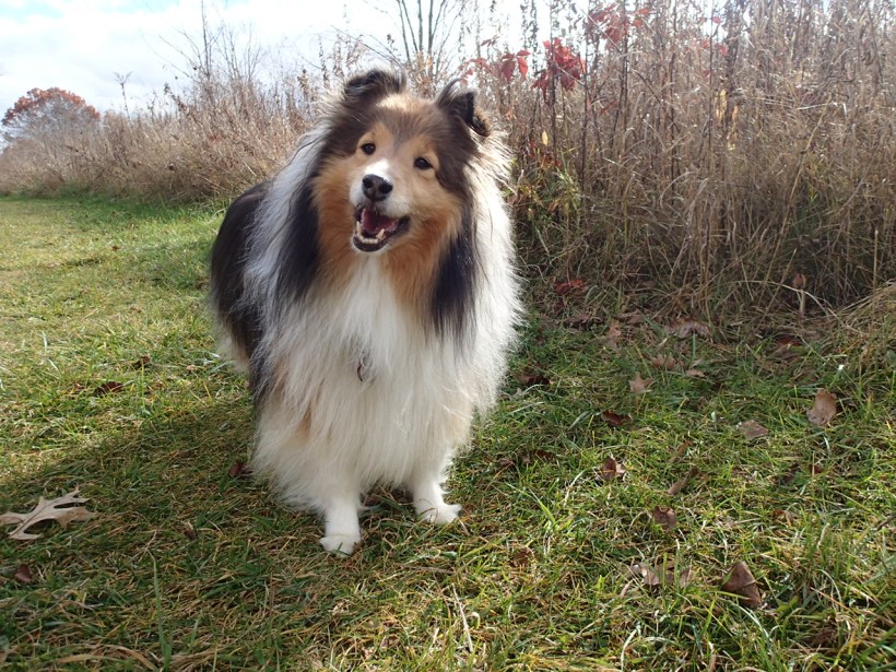 Rules mama?  There are rules?