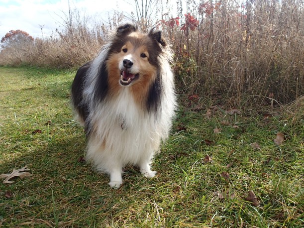 Rules mama? There are rules?