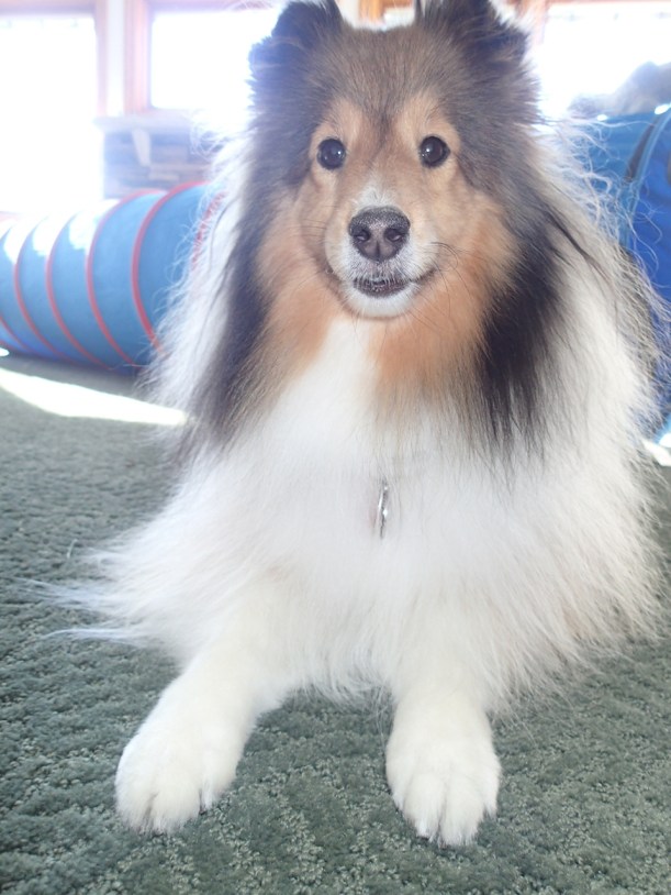 Don't I look better?