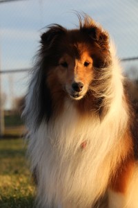 Yes I know.  I'm beautiful.