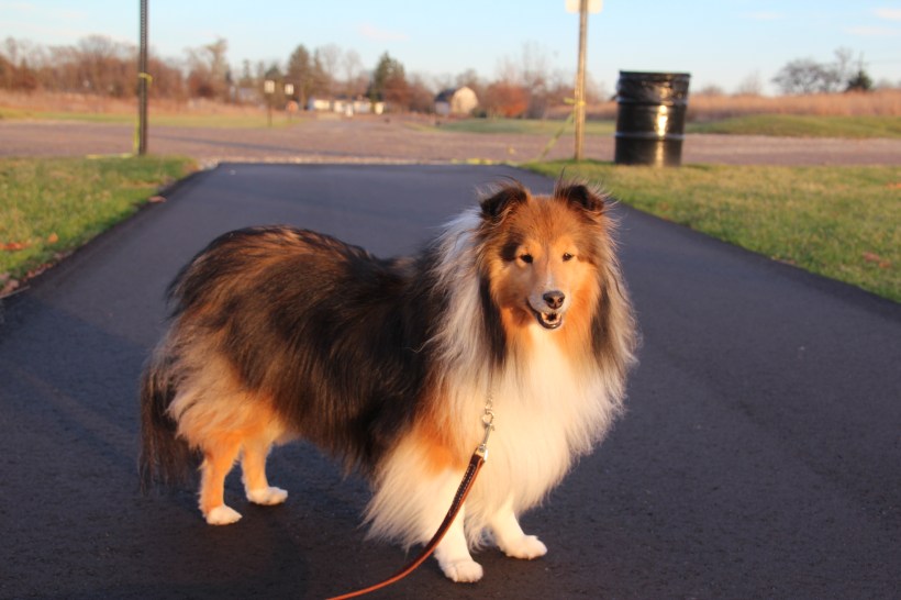 I took care of them mama!