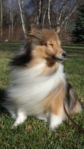 Thankful that I'm beautiful.