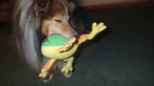 My aunt got me this frog when I was a baby!