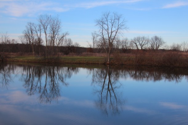 Afternoon reflections.