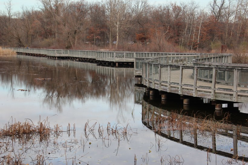 Boardwalk begins the walk.