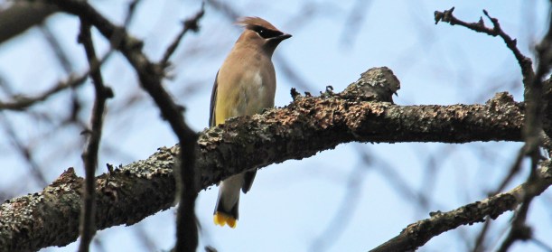 Thank you little guys!  It was fun!