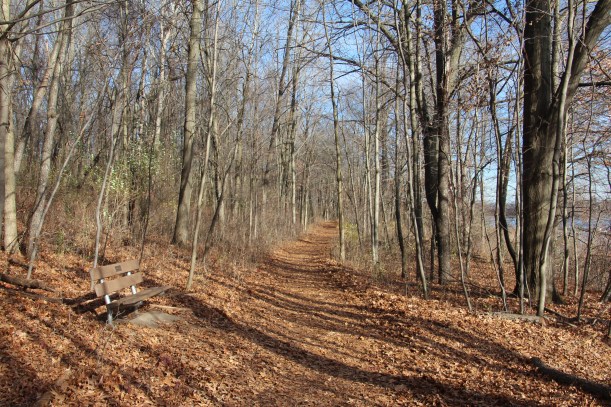 Who wouldn't want to be walking here?