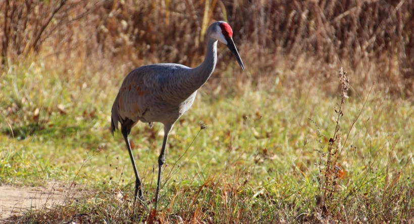 Yes I know I'm pretty.