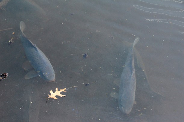 You got anything to eat lady?