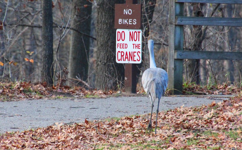 Not looking at that sign.