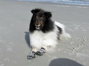 My boyfriend Reilly.