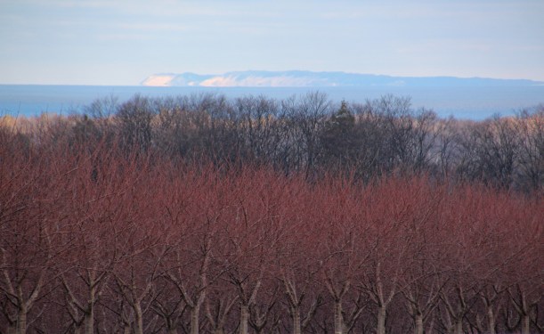 If you're on FB you've already seen this one; cherry trees, Lake Michigan & sand dunes