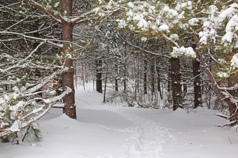 Come on a walk with me!