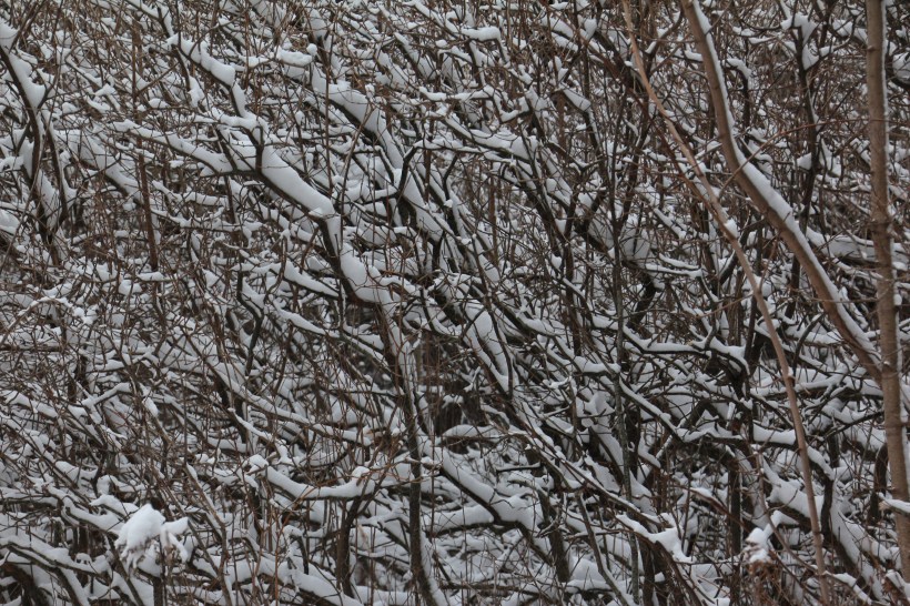 Nature's patterns attracted my attention.