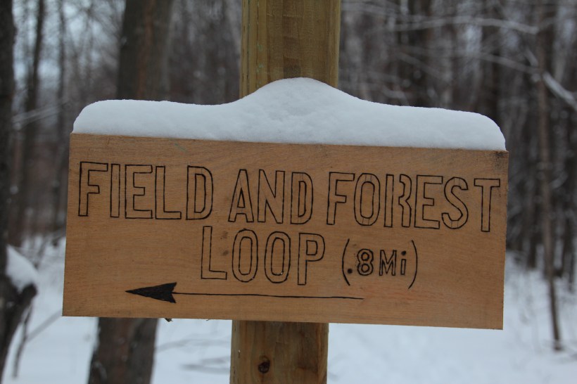 Which way should I go?