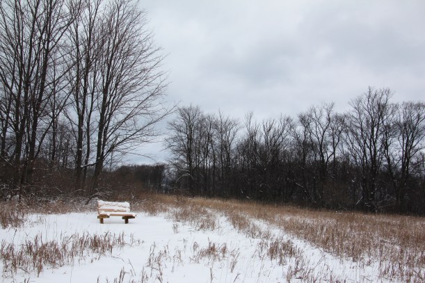 A nice place to sit...in summer.