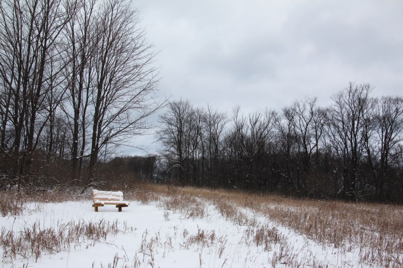 A nice place to sit...in summer.