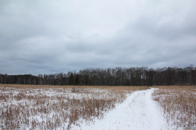 I walked way over there before I turned around.