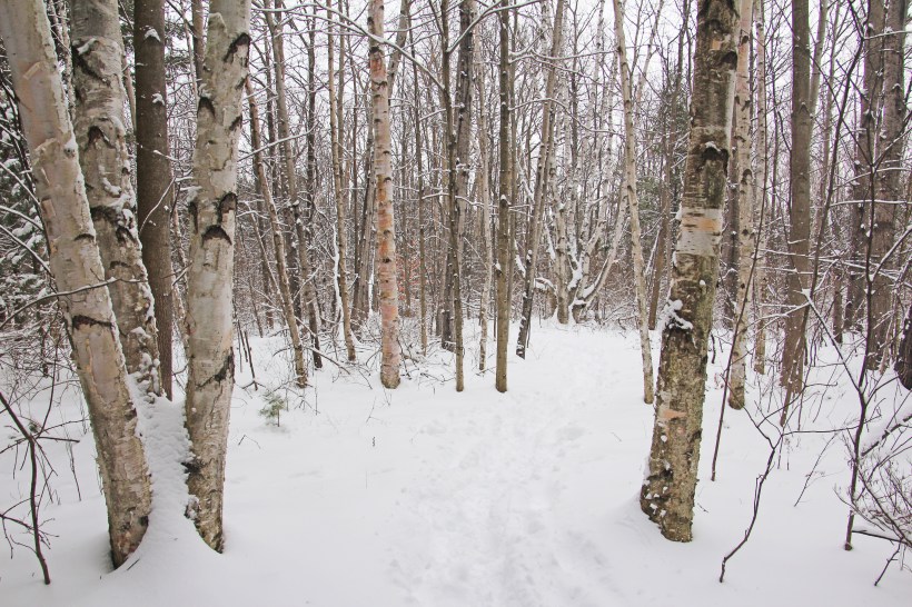 Are you sure this is the way?