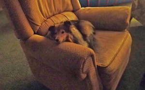 Sometimes I want to sleep out here mama.