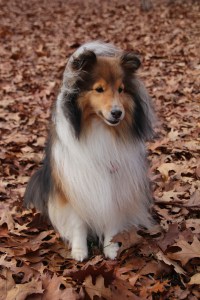 I'll pose once mama.