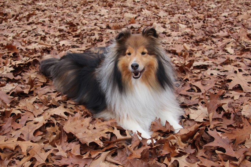 I love this time of year!