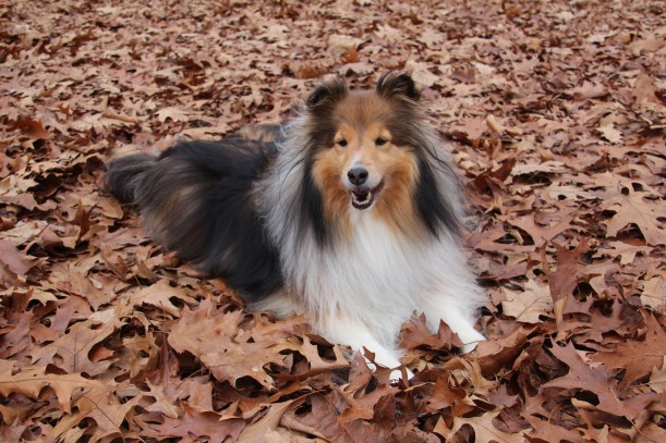 I love this time of year!