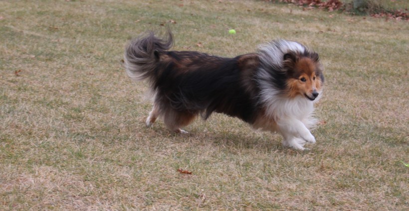 I could just run all day!